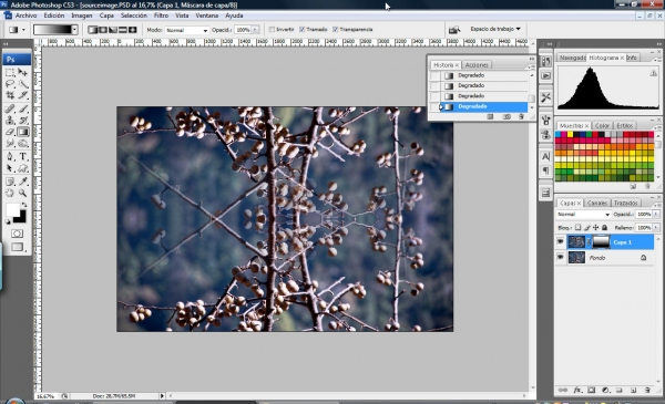 Creation of Wild Tree: Step 2